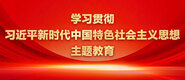 艹逼视频无码免费看学习贯彻习近平新时代中国特色社会主义思想主题教育_fororder_ad-371X160(2)